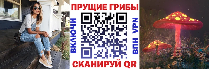 Галлюциногенные грибы MAGIC MUSHROOMS  Купить  Видное 